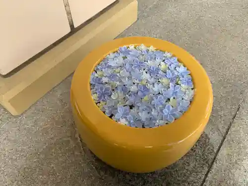 帯廣神社の手水舎