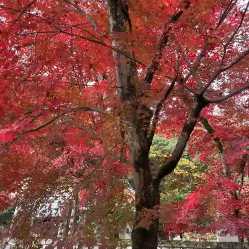 意冨布良神社(滋賀県)