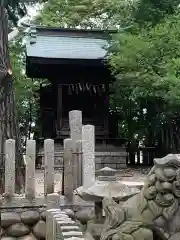 八幡社（白山社八幡社）の本殿