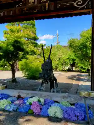 穴太寺(京都府)