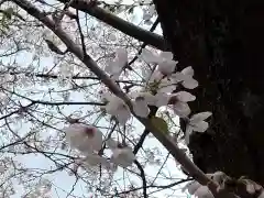 報国寺(神奈川県)