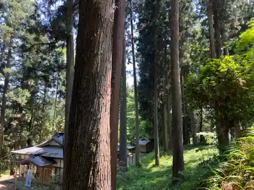 大宮温泉神社(栃木県)