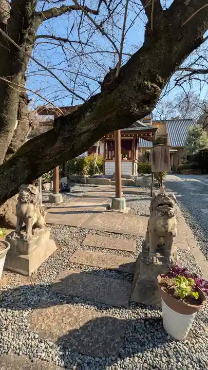 光傅寺(光伝寺)(大阪府)