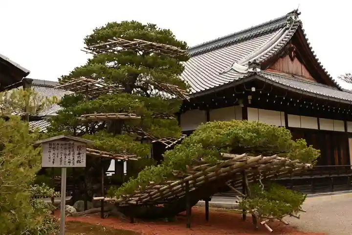 鹿苑寺(金閣寺)の自然