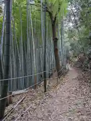 石清水八幡宮(京都府)