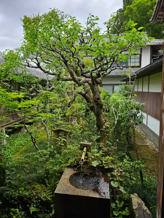 三千院門跡(京都府)