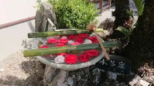 音蔵寺の手水