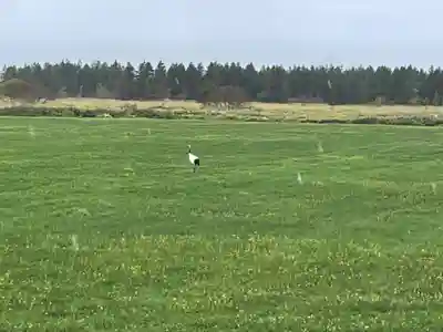 浜頓別神社(北海道)