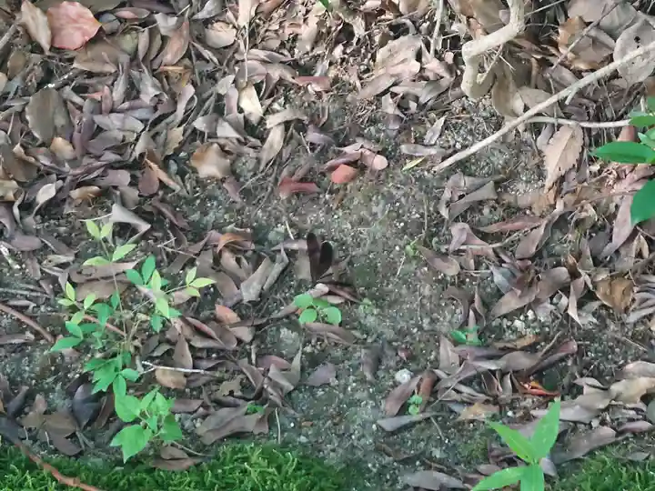 速谷神社(広島県)