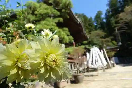 岡寺（龍蓋寺）の自然