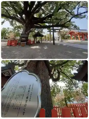百舌鳥八幡宮(大阪府)