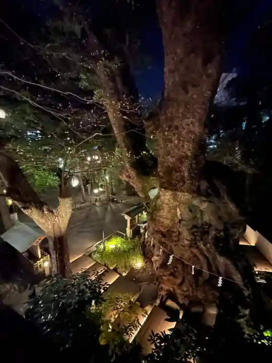 來宮神社(静岡県)