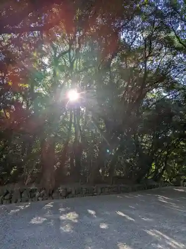 熱田神宮の自然