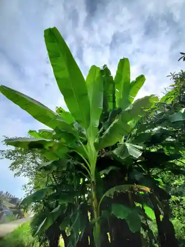 上合寺(福島県)