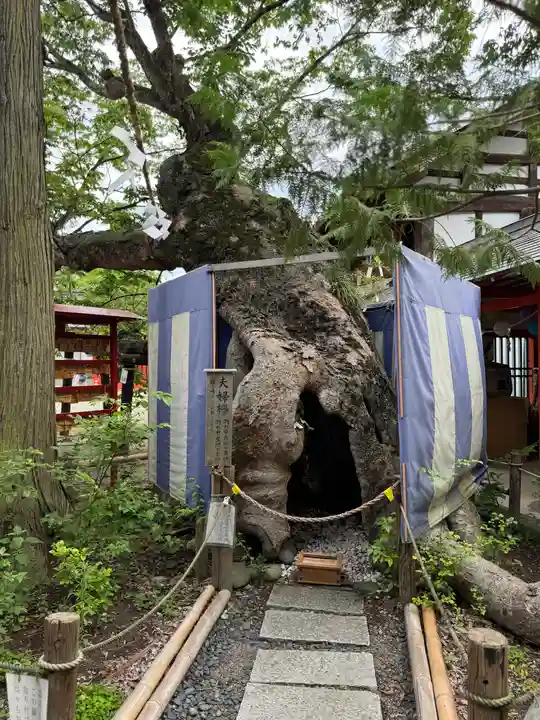 生島足島神社(長野県)