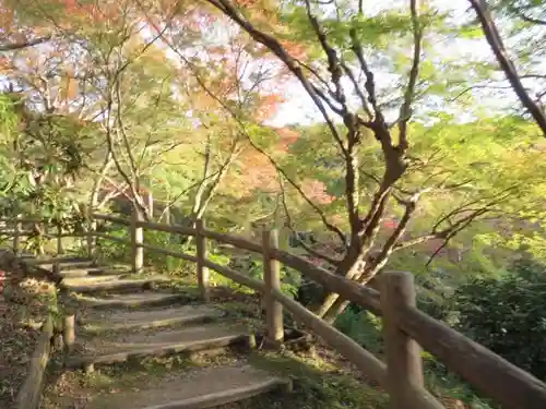 岡寺（龍蓋寺）の自然