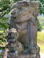 高司神社〜むすびの神の鎮まる社〜の狛犬