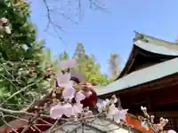 滑川神社 - 仕事と子どもの守り神の自然