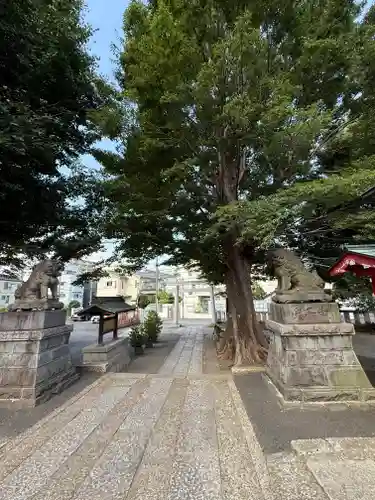 滝野川八幡神社(東京都)