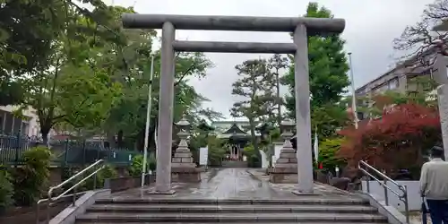 桜神宮の鳥居