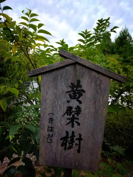 萬福寺(京都府)