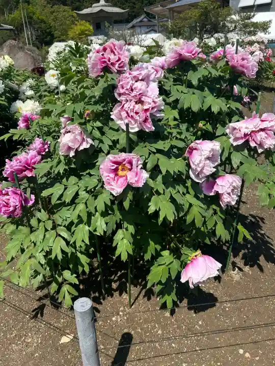 金蛇水神社(宮城県)