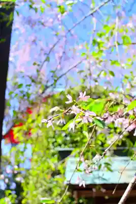 森浅間神社(神奈川県)