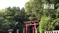彌彦神社の鳥居