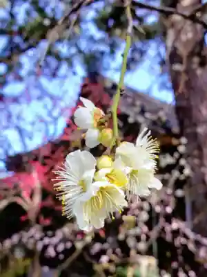 玄国寺(東京都)