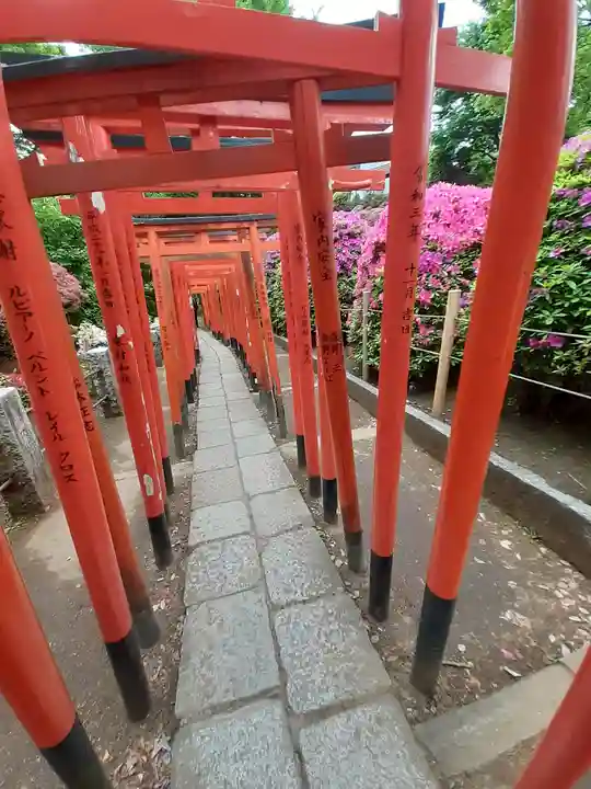 根津神社(東京都)