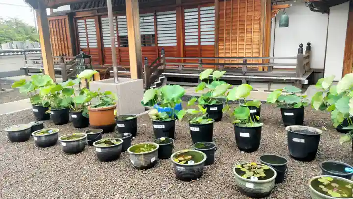 上行寺(静岡県)