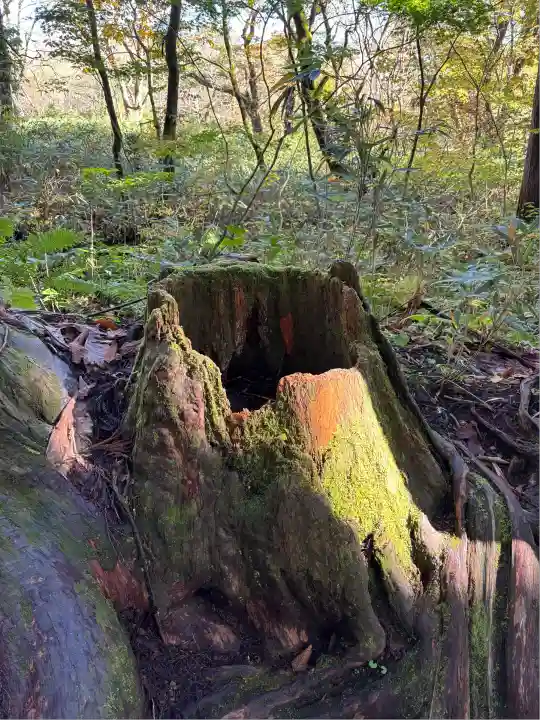 戸隠神社奥社(長野県)