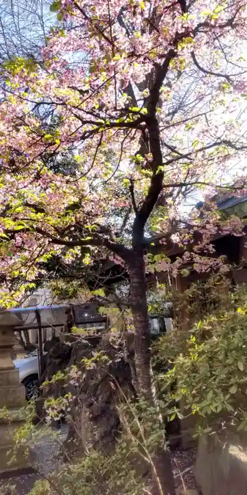小野照崎神社(東京都)