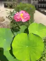 木舟山 順教寺の庭園