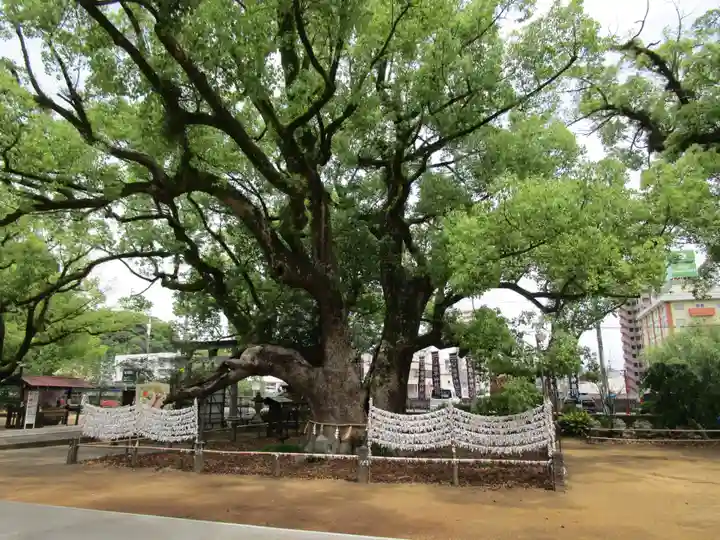 諫早神社(九州総守護 四面宮)(長崎県)
