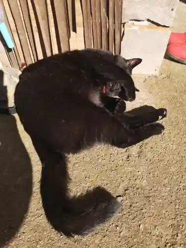 高司神社〜むすびの神の鎮まる社〜(福島県)