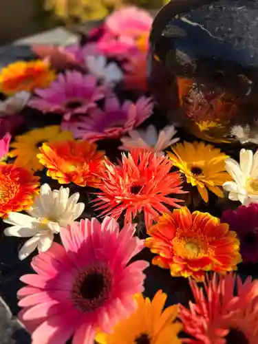 神楽坂安養寺(東京都)