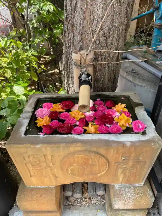 菊名神社(神奈川県)