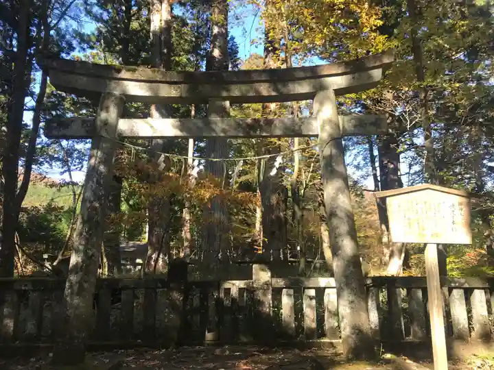 瀧尾神社(日光二荒山神社別宮)の鳥居