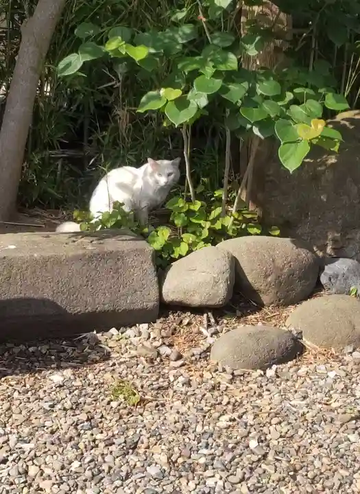 長性寺(東京都)