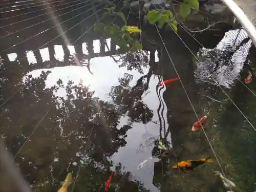 鈴鹿明神社(神奈川県)
