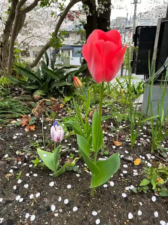 成田山神護寺(埼玉県)