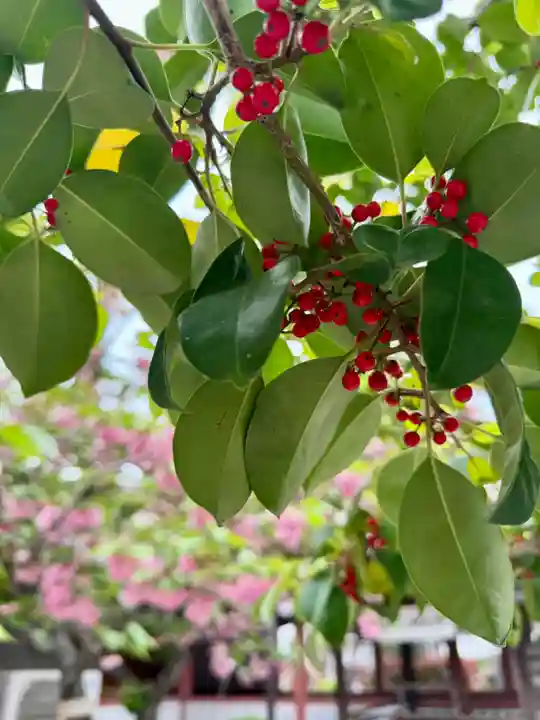 東寺(教王護国寺)(京都府)