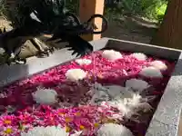 下野 星宮神社の手水舎