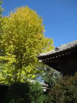 八幡神社(千葉県)