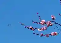 禅居院(神奈川県)