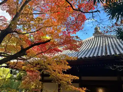 柳谷観音　楊谷寺(京都府)