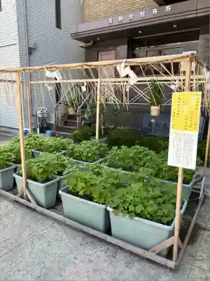 鷲神社(東京都)