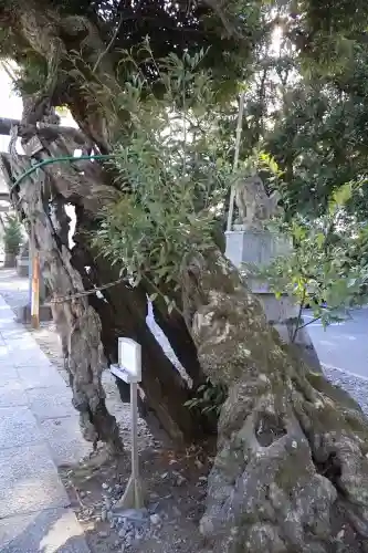 一言主神社の{uncategorized: "未分類", other: "その他", undefined: "問題あり", building: "その他建物", grave: "お墓", sacred_gate: "鳥居", guardian: "狛犬", statue: "像", buddha: "仏像", history: "歴史", nature: "自然", garden: "庭園", animal: "動物", pagoda: "塔", temizu: "手水舎", mountain_gate: "山門・神門", sanctuary: "本殿・本堂", subordinate: "末社・摂社", art: "芸術", scenery: "景色", jizo: "地蔵", ema: "絵馬", goshuin: "御朱印", omikuji: "おみくじ", items: "授与品その他", amulet: "お守り", goshuincho: "御朱印帳", eats: "食事", festival: "お祭り", votive_dance: "神楽", shichigosan: "七五三参", wedding: "結婚式", experience: "体験その他", initially: "初詣", around: "周辺", anti_infection: "感染症対策"}