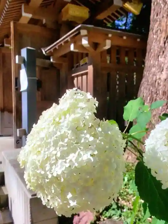 熊野神社(東京都)
